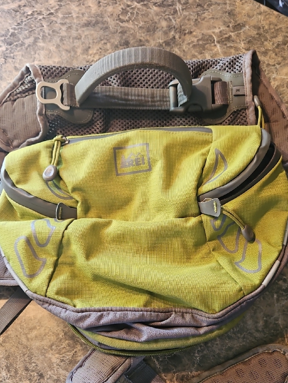 REI  Dog Backpack